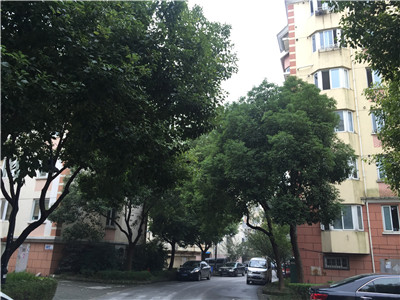 ���K�^(q��) ͩ����· �滨�@